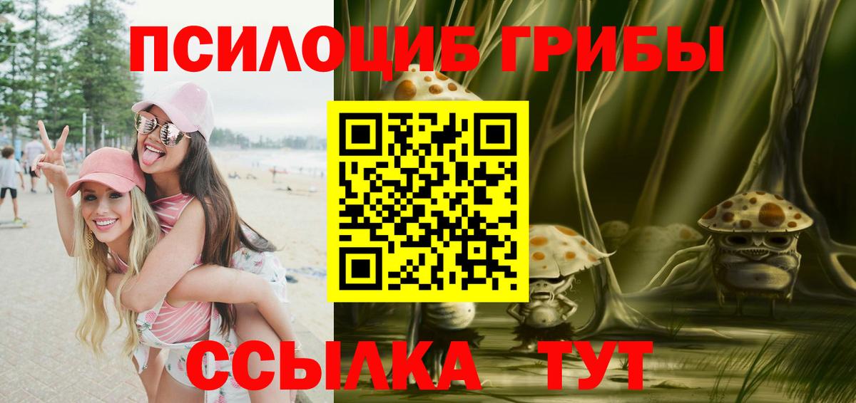 закладки  Галлюциногенные грибы Psilocybe  Вход с VPN  Гатчина 