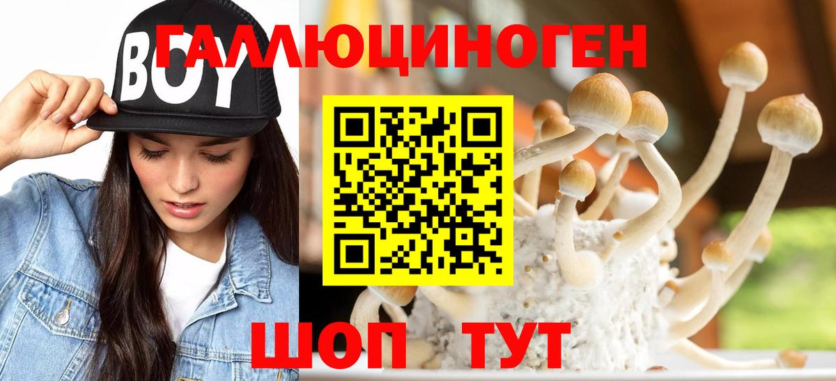 МЕФ кристаллы  КЕТАМИН  Гатчина  Амфетамин   Вход с VPN  ГАШ  Мефедрон  Экстази 